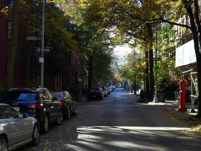 NYC_2017-11-24 10-57-32_P1140268